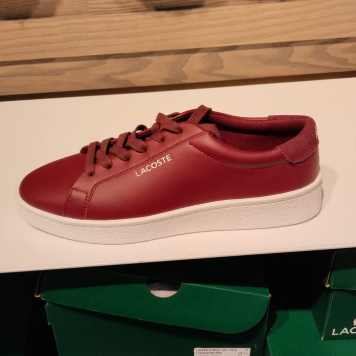 Courtderby Leather Sneakers - Burgundy